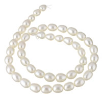 Perlas Arroz Freshwater, Perlas cultivadas de agua dulce, natural, Blanco, 7mm, agujero:aproximado 0.8mm, Vendido para aproximado 15 Inch Sarta