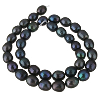 Perles d'eau douce de culture de riz, perle d'eau douce cultivée, bleu, 9-10mm, Trou:Environ 0.8mm, Vendu par Environ 14 pouce brin