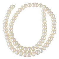 Brambor pěstované sladkovodní perle, Sladkovodní Pearl, přírodní, bílý, 6-7mm, Otvor:Cca 0.8mm, Prodáno za Cca 15 inch Strand