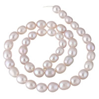 Rice Kulturan Slatkovodni Pearl perle, Riža, prirodan, roze, 7-8mm, Rupa:Približno 0.8mm, Prodano Per Približno 15.3 inčni Strand