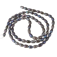 Rice ferskvandskulturperle Beads, Ferskvandsperle, Ris, lilla, 3-4mm, Hole:Ca. 0.8mm, Solgt Per Ca. 14.5 inch Strand