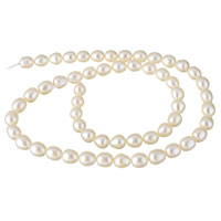 Naturliga sötvattenspärla lösa pärlor, Freshwater Pearl, vit, 6-7mm, Hål:Ca 0.8mm, Såld Per Ca 15.3 inch Strand