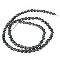 Rice ferskvandskulturperle Beads, Ferskvandsperle, Ris, blå, 4-5mm, Hole:Ca. 0.8mm, Solgt Per Ca. 15.7 inch Strand