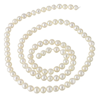 Krumpir Kulturan Slatkovodni Pearl perle, prirodan, bijel, 3-4mm, Rupa:Približno 0.8mm, Prodano Per Približno 15.3 inčni Strand