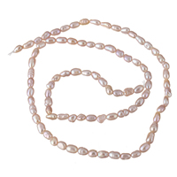 Rýže kultivované sladkovodní perle, Sladkovodní Pearl, přírodní, nachový, 2-3mm, Otvor:Cca 0.8mm, Prodáno za Cca 14.5 inch Strand