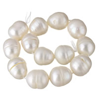 Button Gekweekte Zoetwater Parel kralen, natuurlijk, wit, 12-16mm, Gat:Ca 0.8mm, Per verkocht Ca 16 inch Strand