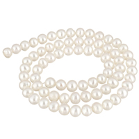 Krumpir Kulturan Slatkovodni Pearl perle, prirodan, bijel, 5-6mm, Rupa:Približno 0.8mm, Prodano Per Približno 15.3 inčni Strand