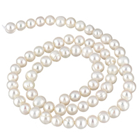 Krumpir Kulturan Slatkovodni Pearl perle, prirodan, bijel, 5-6mm, Rupa:Približno 0.8mm, Prodano Per Približno 15 inčni Strand