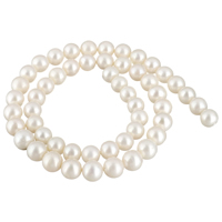 Grânulos pérolas cultivads de água doce, Pérolas de água doce, Batata, naturais, branco, 7-8mm, Buraco:Aprox 0.8mm, vendido para Aprox 15.5 inchaltura Strand