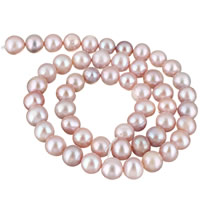 Grânulos pérolas cultivads de água doce, Pérolas de água doce, Batata, naturais, roxo, 8-9mm, Buraco:Aprox 0.8mm, vendido para Aprox 15.5 inchaltura Strand