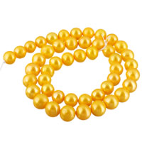 Kartoffel ferskvandskulturperle Beads, Ferskvandsperle, naturlig, gul, 8-9mm, Hole:Ca. 0.8mm, Solgt Per Ca. 15.7 inch Strand