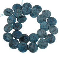 Perles en sodalite, Plat rond, teints, 16x4mm, Trou:Environ 1mm, Environ 26PC/brin, Vendu par Environ 15.5 pouce brin