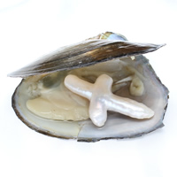 Zoetwater Cultured Love Wish Pearl Oyster, parel, Oversteken, 26x45x9mm, Verkocht door PC