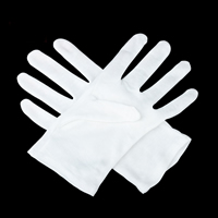 Gants, coton, main, blanc, 90x220mm, 10pairescouple/lot, Vendu par lot