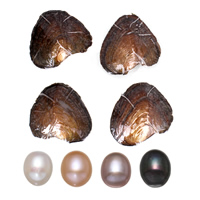 Zoetwater Cultured Love Wish Pearl Oyster, parel, Rijst, meer kleuren voor de keuze, 9-9.5mm, Verkocht door PC