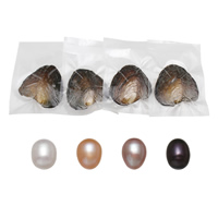 Amor de cultura de água doce Wish Pearl Oyster, pérola, Arroz, cores misturadas, 7.5-8mm, 4PCs/Lot, vendido por Lot