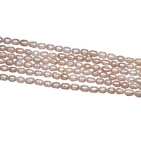 Perles d'eau douce de culture de riz, perle d'eau douce cultivée, naturel, rose, grade A, 4-5mm, Trou:Environ 0.8mm, Vendu par 14 pouce brin