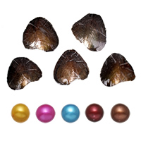 Zoetwater Cultured Love Wish Pearl Oyster, parel, Aardappel, gemengde kleuren, 7-8mm, 5pC's/Lot, Verkocht door Lot