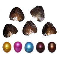 Zoetwater Cultured Love Wish Pearl Oyster, parel, Rijst, gemengde kleuren, 9-9.5mm, 5pC's/Lot, Verkocht door Lot