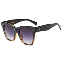 Fashion Sunglasses PC Plastic with PC plastic lens & Resin & Zinc Alloy Unisex Sold By PC