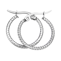 Mens Stainless Steel Hoop Earring, oprindelige farve, nikkel, bly & cadmium fri, 19.50x22x1.50mm, Solgt af par