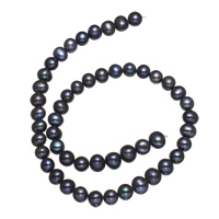 Kulaté kultivované sladkovodní perle, Sladkovodní Pearl, Kolo, přírodní, černý, Grade, 8-9mm, Otvor:Cca 0.8mm, Prodáno za 15.5 inch Strand