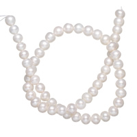 Kulaté kultivované sladkovodní perle, Sladkovodní Pearl, Kolo, přírodní, bílý, Grade, 7-8mm, Otvor:Cca 0.8mm, Prodáno za 15 inch Strand