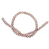 Okrugli Kulturan Slatkovodni Pearl perle, prirodan, ljubičasta boja, 7-8mm, Rupa:Približno 0.8mm, Prodano Per 15 inčni Strand