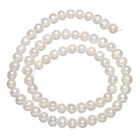 Brambor pěstované sladkovodní perle, Sladkovodní Pearl, přírodní, bílý, 6-7mm, Otvor:Cca 0.8mm, Prodáno za Cca 15.3 inch Strand