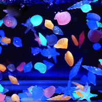 plastica Glowstone, luminoso, nessuno, 20-40mm, Appross. 375PC/kg, Venduto da kg