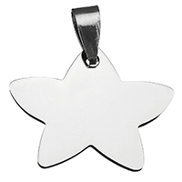 Rostfritt stål Smycken Hängen, ROSTFRITT STÅL, Star, ursprungliga färgen, 27x22x2mm, Säljs av PC