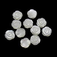 Cuentas de Concha de Labio Blanco, Concha de labios blancos, Flor, sin agujero, 12x4mm, 50PCs/Bolsa, Vendido por Bolsa