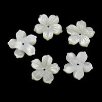 Witte Lip Shell Beads, White Lip Shell, Bloem, 19x2.5mm, Gat:Ca 1mm, 10pC's/Bag, Verkocht door Bag