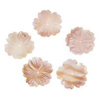 Natural Pink Shell Helmet, erikokoisia valinnalle, Reikä:N. 1-1.5mm, 10PC/laukku, Myymät laukku