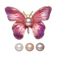 Broche perle d'eau douce, laiton, avec boîte en carton & perle d'eau douce cultivée, papillon, Placage de couleur d'or, pour femme & émail & poudre colorée, plus de couleurs à choisir, protéger l'environnement, sans nickel, plomb et cadmium, 45x34x10mm, 70x82.5x35mm, Vendu par PC