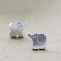 Messing Stud ørering, Elephant, ægte sølv forgyldt, nikkel, bly & cadmium fri, 6x7mm, Solgt af par