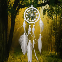 Fashion Dreamcatcher, Feder, mit Wollschnur & Holz, 510mm, verkauft von PC