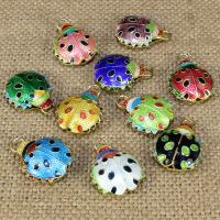 Pendenti perline in cloisonne, Coccinella, fatto a mano, cavo, nessuno, 18x17mm, Foro:Appross. 1.5mm, 10PC/borsa, Venduto da borsa