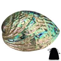 Moda decorazione, conchiglia Abalone, multihole, 90x120x39mm, Foro:Appross. 3-9mm, 3PC/lotto, Venduto da lotto