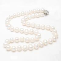 Colar de Pérolas de Água Doce Natural, Pérolas de água doce, with liga de zinco, naturais, para mulher, branco, 7-8mm, vendido para Aprox 16.5 inchaltura Strand