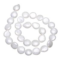 Keishi Kulturan Slatkovodni Pearl perle, Dugme, prirodan, bijel, 12-13mm, Rupa:Približno 0.8mm, Prodano Per Približno 15 inčni Strand