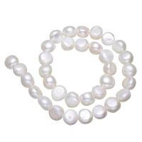 Natuurlijke zoetwater parel Losse Kralen, wit, 12-13mm, Gat:Ca 0.8mm, Per verkocht Ca 15 inch Strand