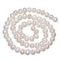 Krumpir Kulturan Slatkovodni Pearl perle, prirodan, bijel, 5.5-6mm, Rupa:Približno 0.8mm, Prodano Per Približno 15.7 inčni Strand