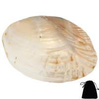 White Shell Dekorace, s Velveteen, 130x95x20mm, Prodáno By PC