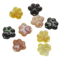 Ciondoli di conchiglia, bear Paw, materiali diversi per la scelta, 13x12x2.5mm, Foro:Appross. 0.5mm, 10PC/borsa, Venduto da borsa