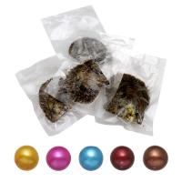 Akoya Cultured Sea Pearl Oyster Beads Akoya Cultured Pearls One pearl oyster with one pearl mixed colors Round 7-8mm Sold By Lot