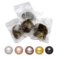 Akoya Cultured Sea Pearl Oyster Perler, perle, Runde, blandede farver, 7-8mm, 5pc'er/Lot, Solgt af Lot