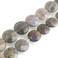 Perles en labradorite, Plat rond, normes différentes pour le choix, Trou:Environ 0.5mm, Vendu par Environ 15 pouce brin