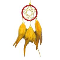 Mode Dreamcatcher, Plastic, met Veer & Nylon Koord & Acryl, kwast, 60x260mm, Verkocht door PC