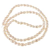 Rýže kultivované sladkovodní perle, Sladkovodní Pearl, přírodní, růžový, 2-3mm, Otvor:Cca 0.8mm, Prodáno za Cca 15.3 inch Strand